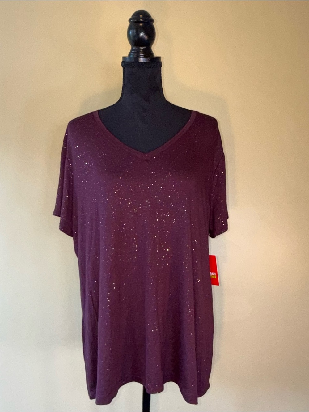NWT Sparkly V neck tee